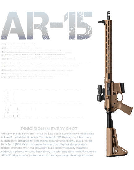 AR-15 (Springfield Armory)