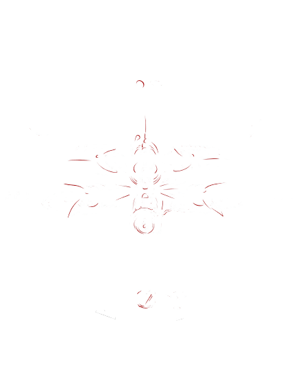 ONE SHOT