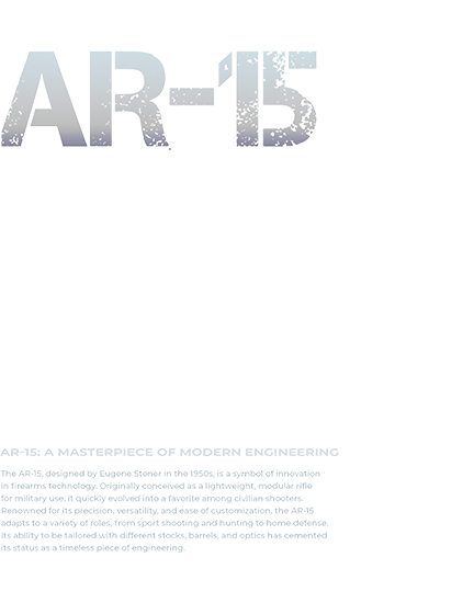 AR-15 (1)