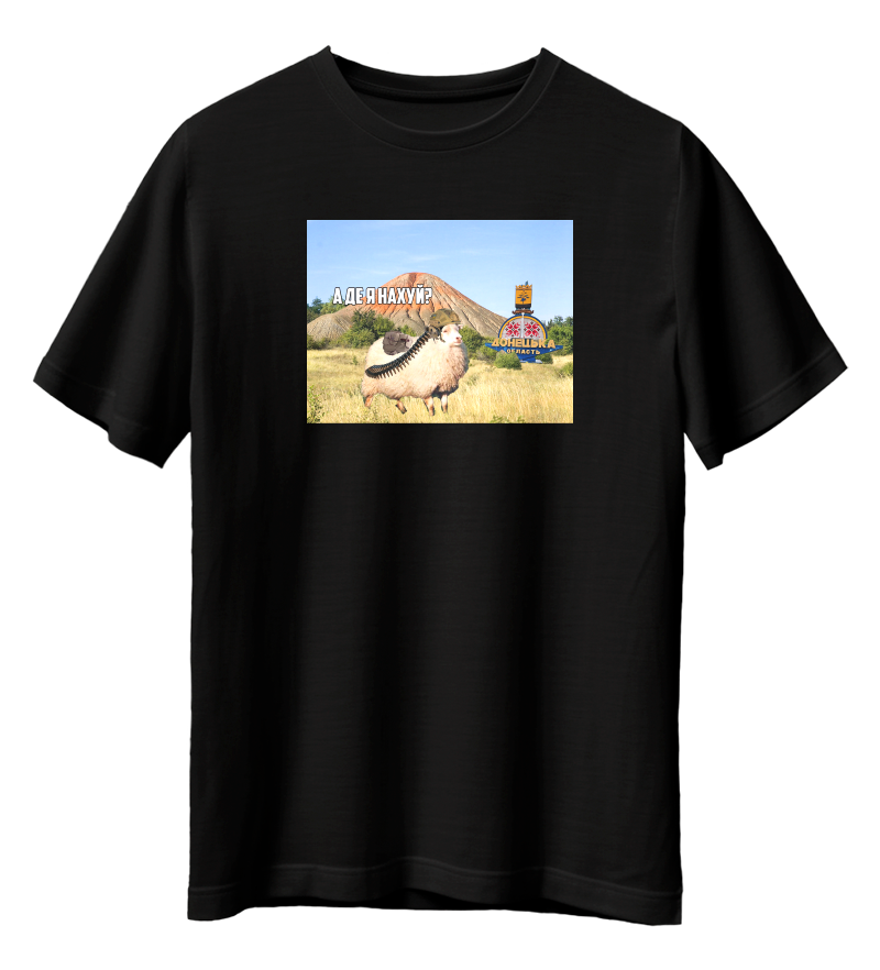 Футболка А ДЕ Я Н****?