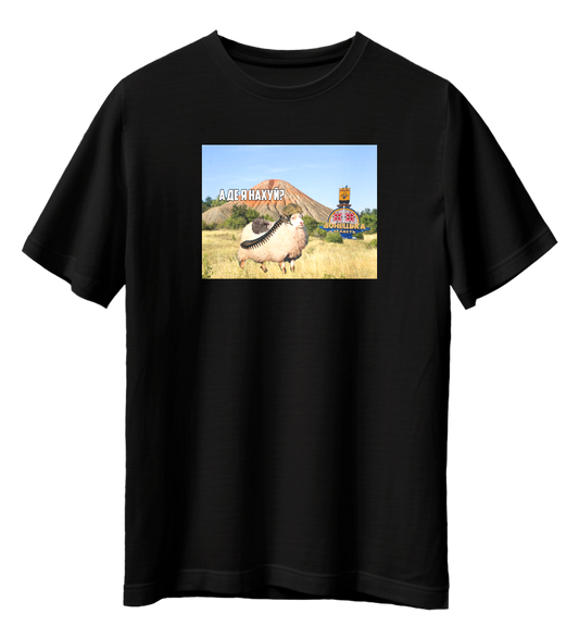 Футболка А ДЕ Я Н****?