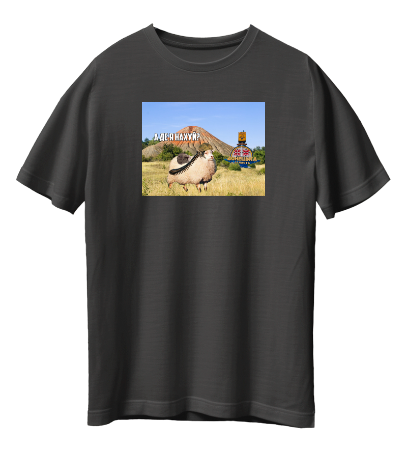 Футболка А ДЕ Я Н****?