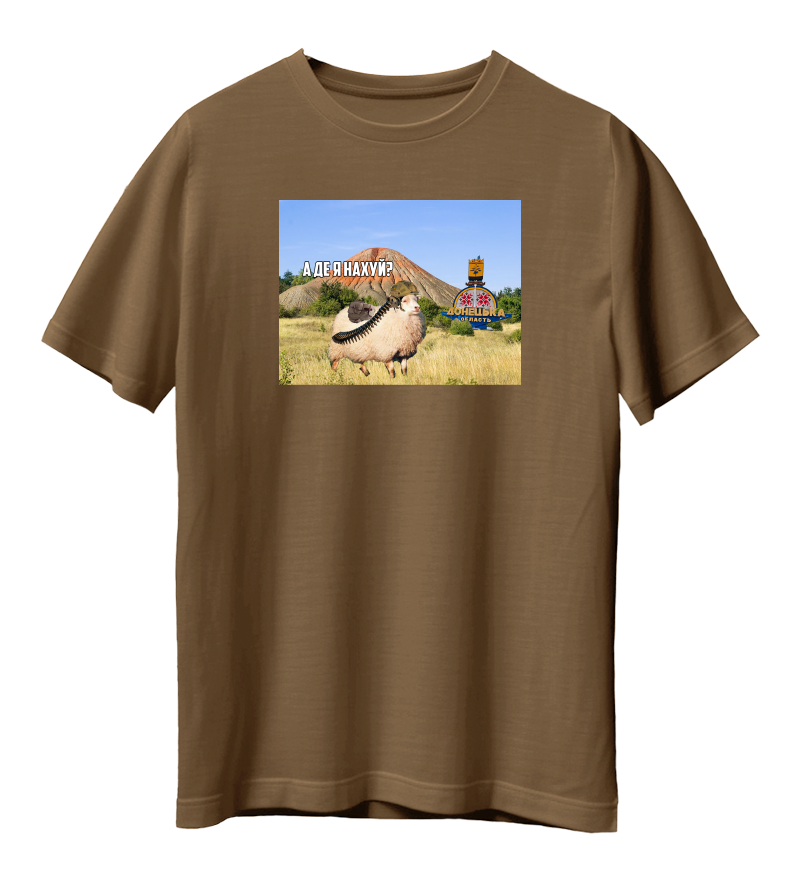 Футболка А ДЕ Я Н****?