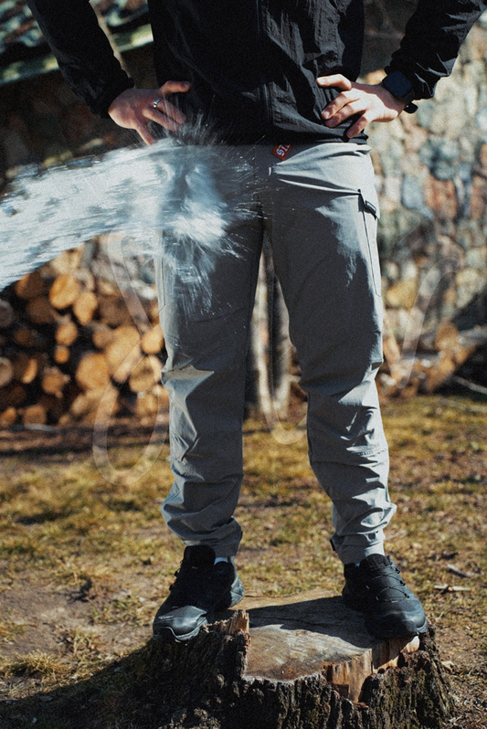 Штани AVIATOR GRAY